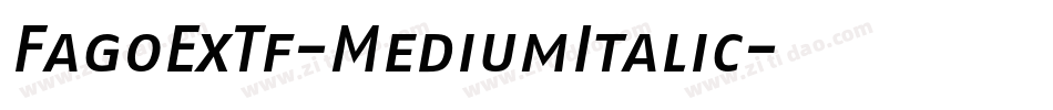 FagoExTf-MediumItalic字体转换