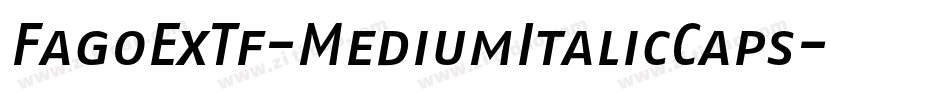FagoExTf-MediumItalicCaps字体转换