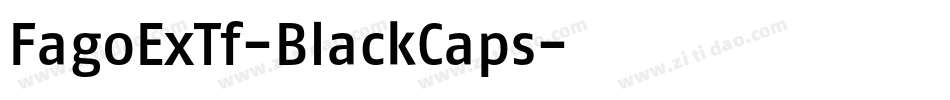 FagoExTf-BlackCaps字体转换