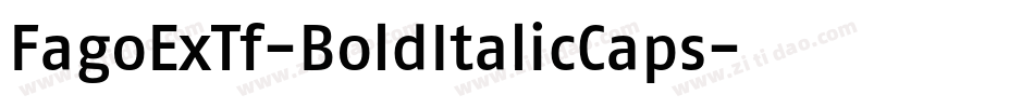 FagoExTf-BoldItalicCaps字体转换