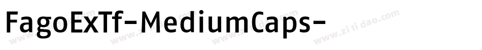 FagoExTf-MediumCaps字体转换