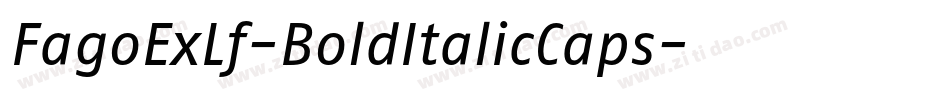 FagoExLf-BoldItalicCaps字体转换