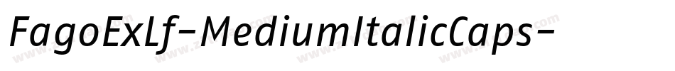 FagoExLf-MediumItalicCaps字体转换