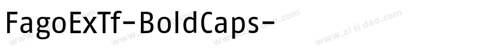 FagoExTf-BoldCaps字体转换