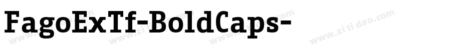 FagoExTf-BoldCaps字体转换