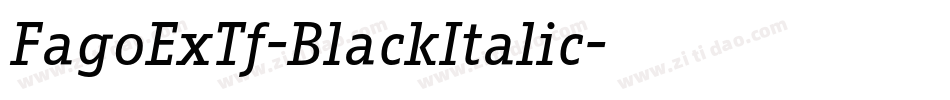 FagoExTf-BlackItalic字体转换