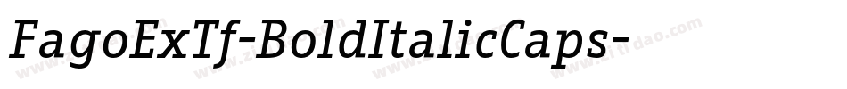 FagoExTf-BoldItalicCaps字体转换