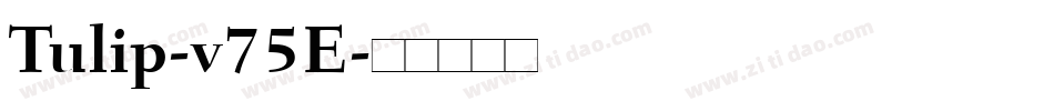 Tulip-v75E字体转换