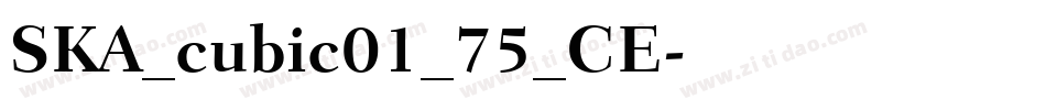 SKA_cubic01_75_CE字体转换