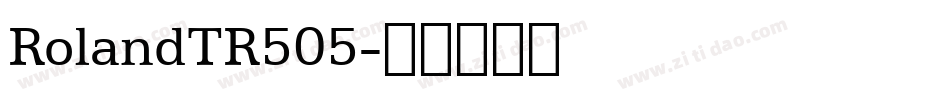 RolandTR505字体转换
