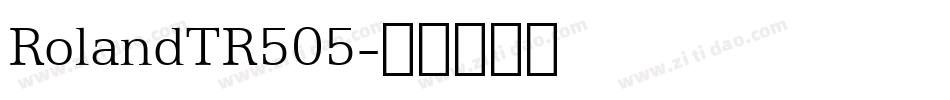 RolandTR505字体转换