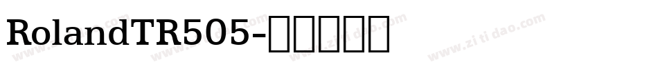 RolandTR505字体转换
