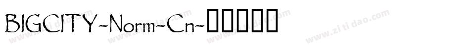BIGCITY-Norm-Cn字体转换