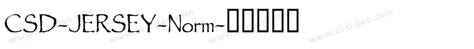 CSD-JERSEY-Norm字体转换
