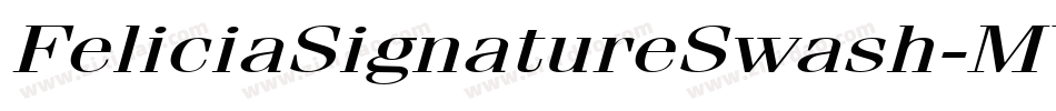 FeliciaSignatureSwash-MVpon字体转换