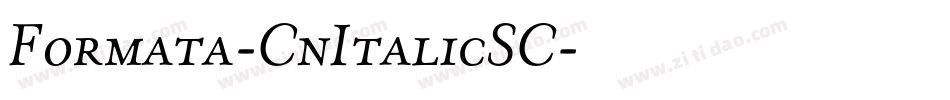 Formata-CnItalicSC字体转换