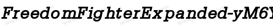 FreedomFighterExpanded-yM6Y字体转换