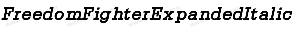 FreedomFighterExpandedItalic-6KXY字体转换