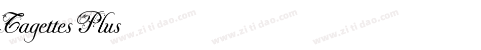TagettesPlus字体转换