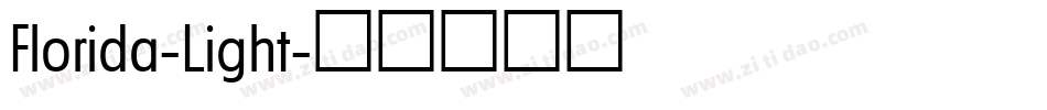 Florida-Light字体转换
