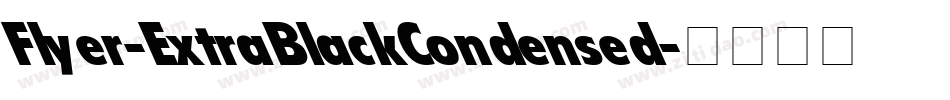 Flyer-ExtraBlackCondensed字体转换
