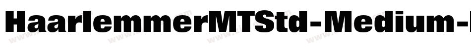HaarlemmerMTStd-Medium字体转换