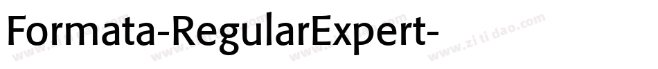 Formata-RegularExpert字体转换