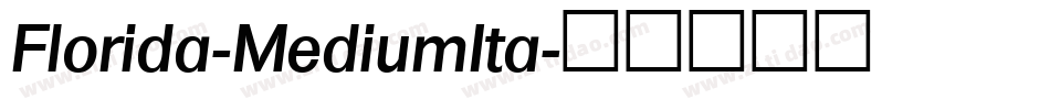 Florida-MediumIta字体转换