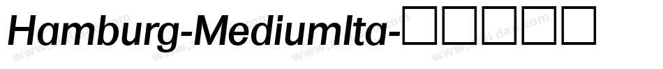 Hamburg-MediumIta字体转换