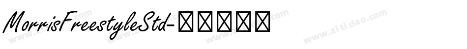 MorrisFreestyleStd字体转换