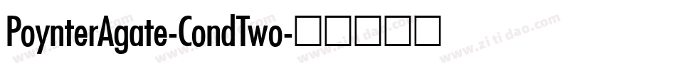 PoynterAgate-CondTwo字体转换