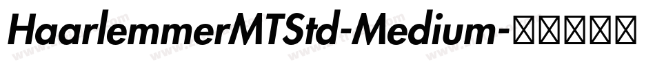 HaarlemmerMTStd-Medium字体转换