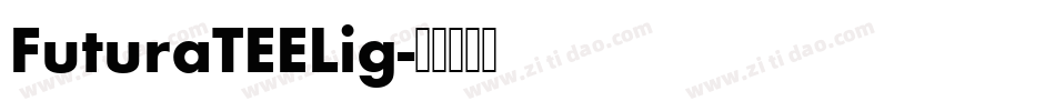 FuturaTEELig字体转换