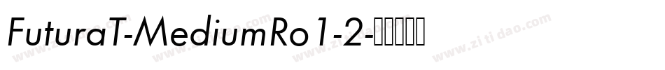 FuturaT-MediumRo1-2字体转换
