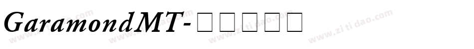 GaramondMT字体转换