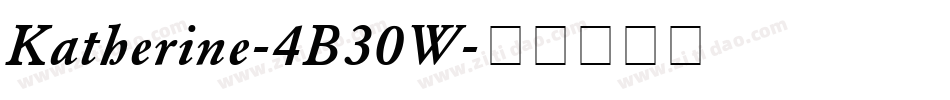 Katherine-4B30W字体转换