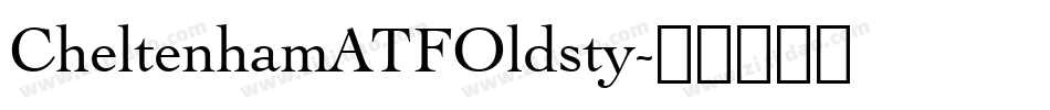 CheltenhamATFOldsty字体转换