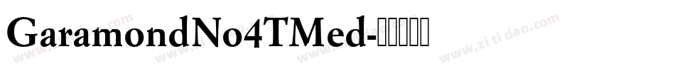GaramondNo4TMed字体转换