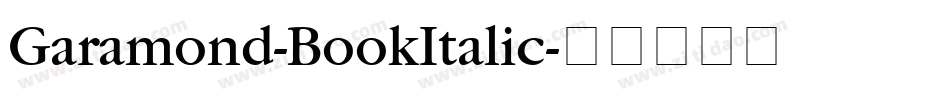 Garamond-BookItalic字体转换