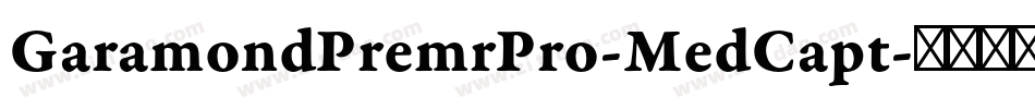 GaramondPremrPro-MedCapt字体转换