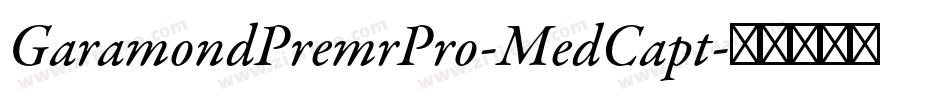 GaramondPremrPro-MedCapt字体转换