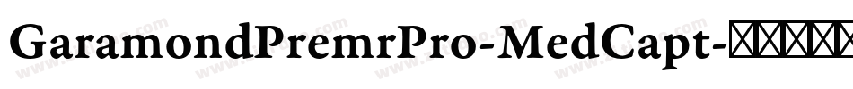 GaramondPremrPro-MedCapt字体转换