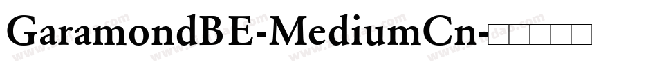 GaramondBE-MediumCn字体转换