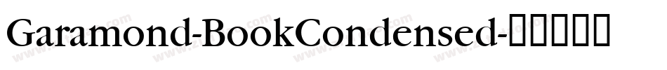 Garamond-BookCondensed字体转换