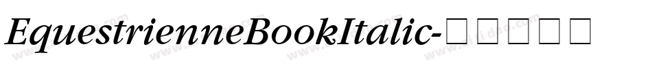 EquestrienneBookItalic字体转换