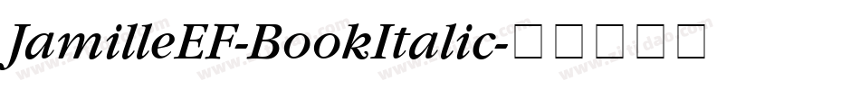 JamilleEF-BookItalic字体转换