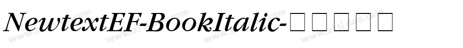 NewtextEF-BookItalic字体转换