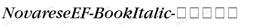 NovareseEF-BookItalic字体转换