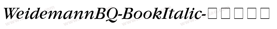 WeidemannBQ-BookItalic字体转换