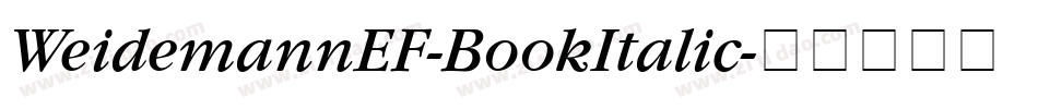 WeidemannEF-BookItalic字体转换